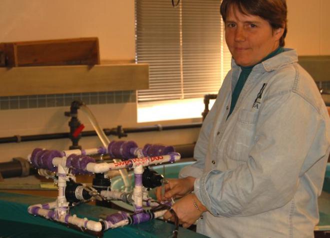 Robin Ellwood Net Worth